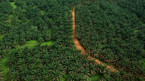 Guide eProj - Agriculture africaine