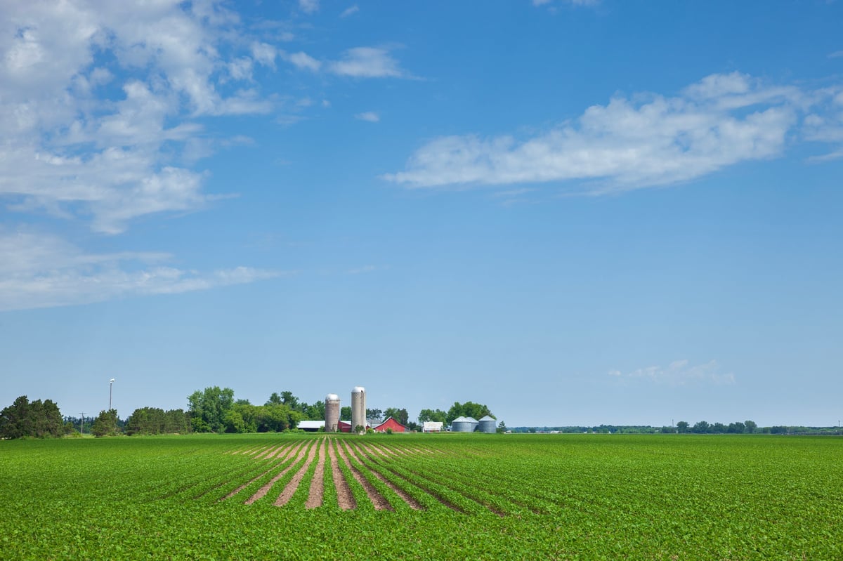 Farm and soybean field in north central Minnesota during the late spring