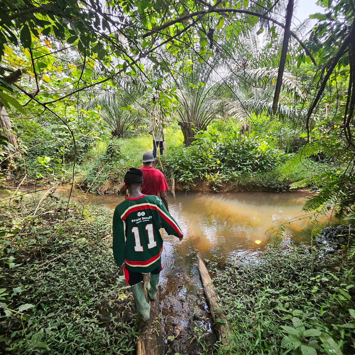 Agriculture durable au Cameroun — eProj